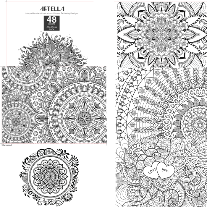 Artella Coloring Books For Adult Pack Of 2