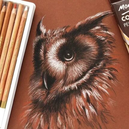 Mont Marte Coloured Charcoal Pencils Pack Of 12