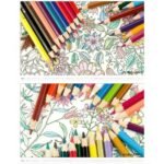 Faber Castell Classic Color Pencil