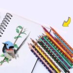 Lyra Groove Slim Color Pencil Set Of 48