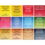 Winsor Newton Professional Watercolor Light Weight Metal Box Of 12 Color