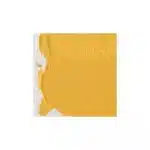 Winsor Newton Professional Acrylic Matt Medium 250ml - Image 3